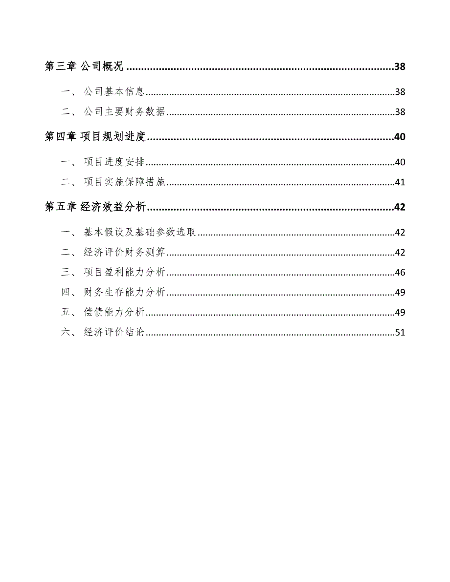 工业皮带项目资金结构优化比选分析_第2页