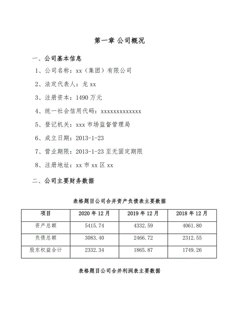 家具制造机械项目运营管理总结（参考）_第4页