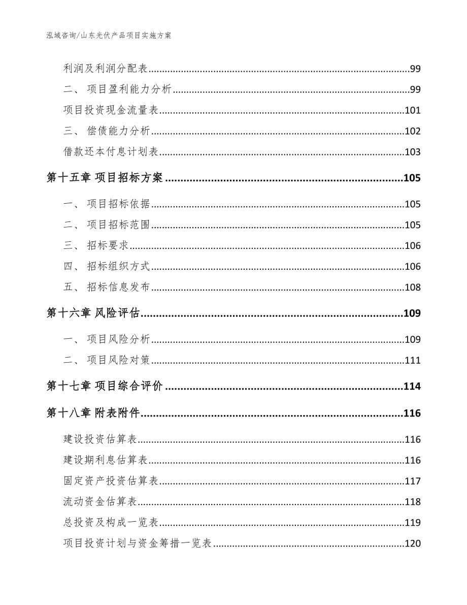 山东光伏产品项目实施方案_第5页