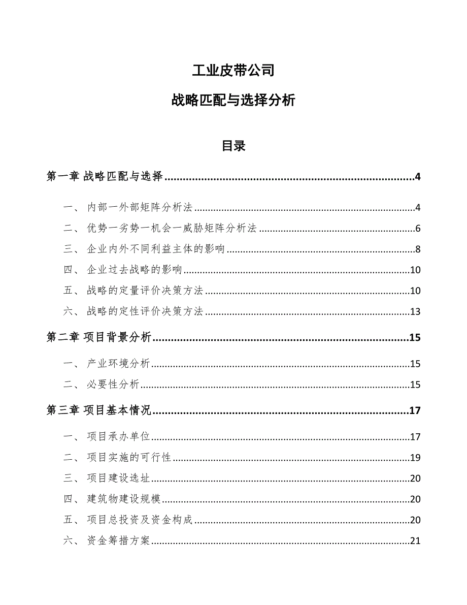 工业皮带公司战略匹配与选择分析_范文_第1页