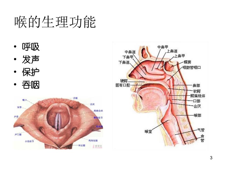 喉症状学喉梗阻气管切开术PPT课件_第3页