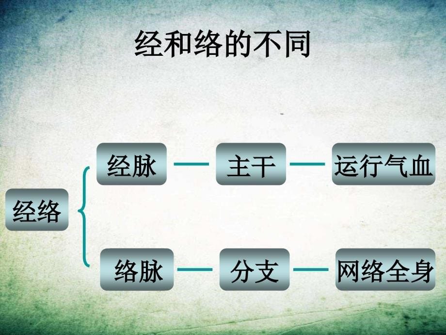 中医经络课件-PPT_第5页