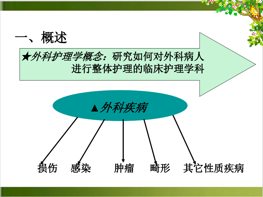 绪论及损伤病人护理ppt培训讲义课件_第3页