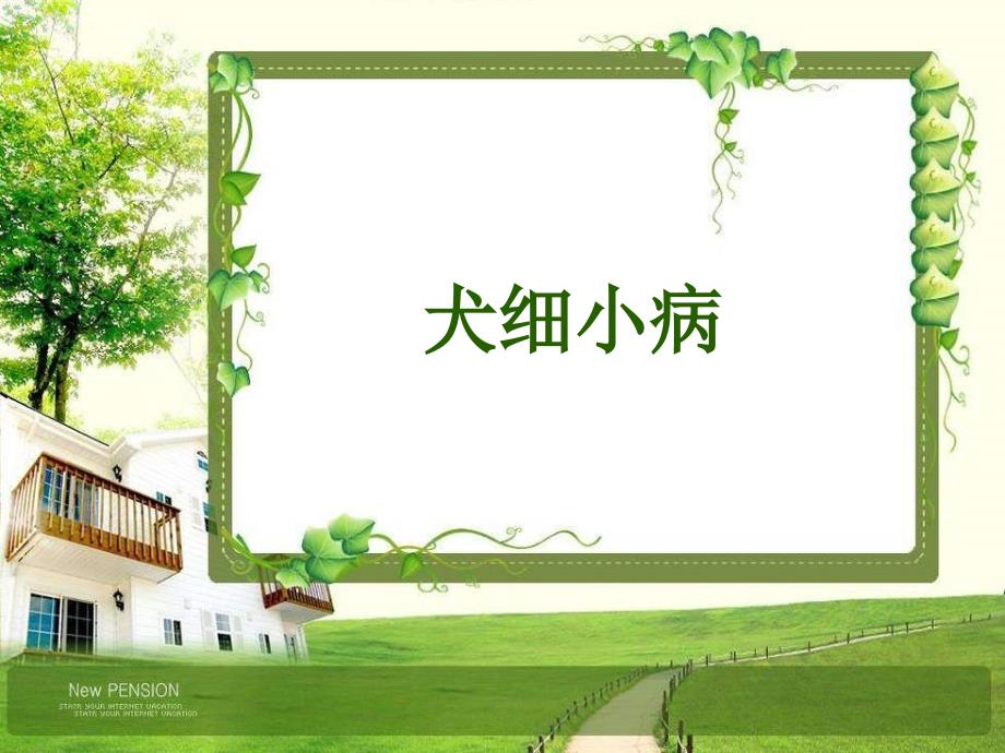 9犬细小病毒PPT课件_第1页