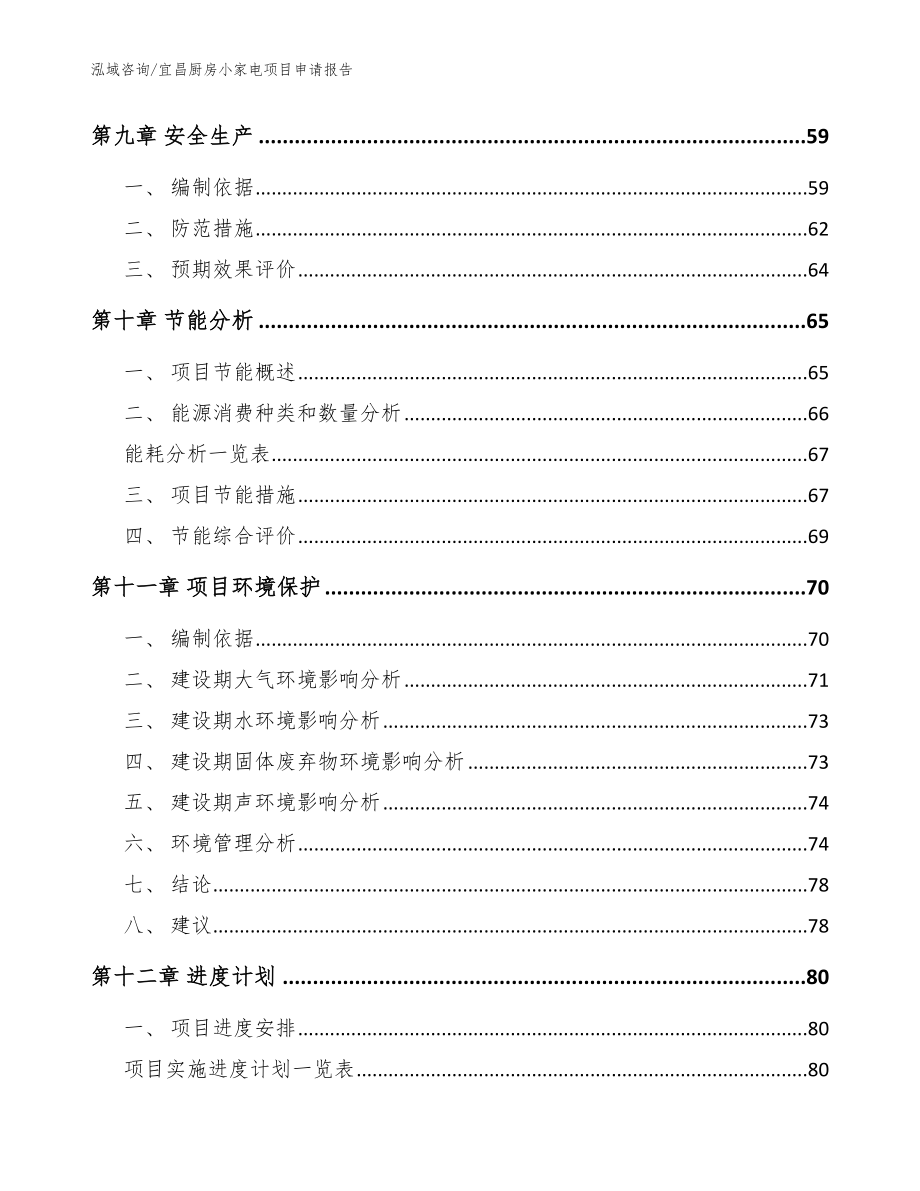 宜昌厨房小家电项目申请报告【范文参考】_第4页