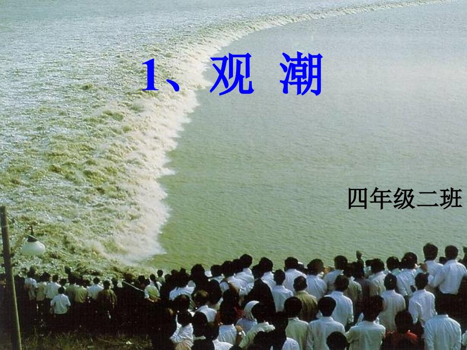 四年级上册语文课件1观潮人教新课标_第1页