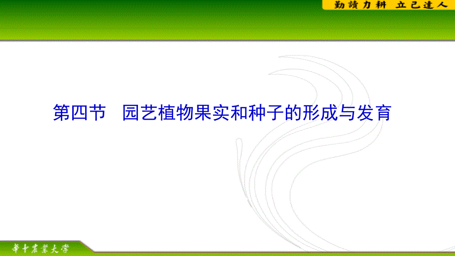 园艺植物的果实和种子课件_第2页