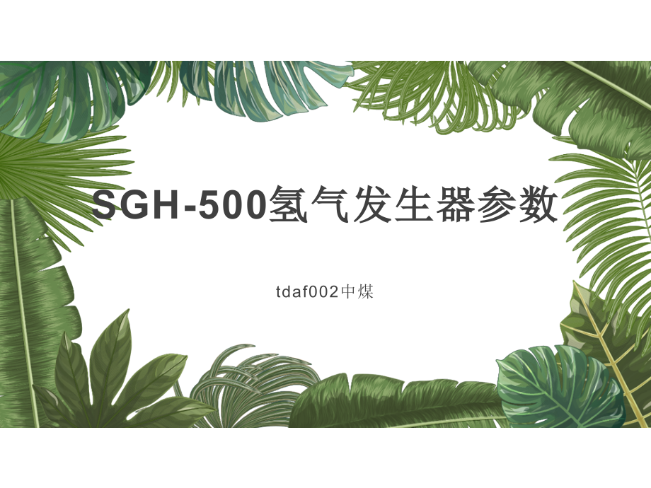 SGH-500氢气发生器参数_第1页