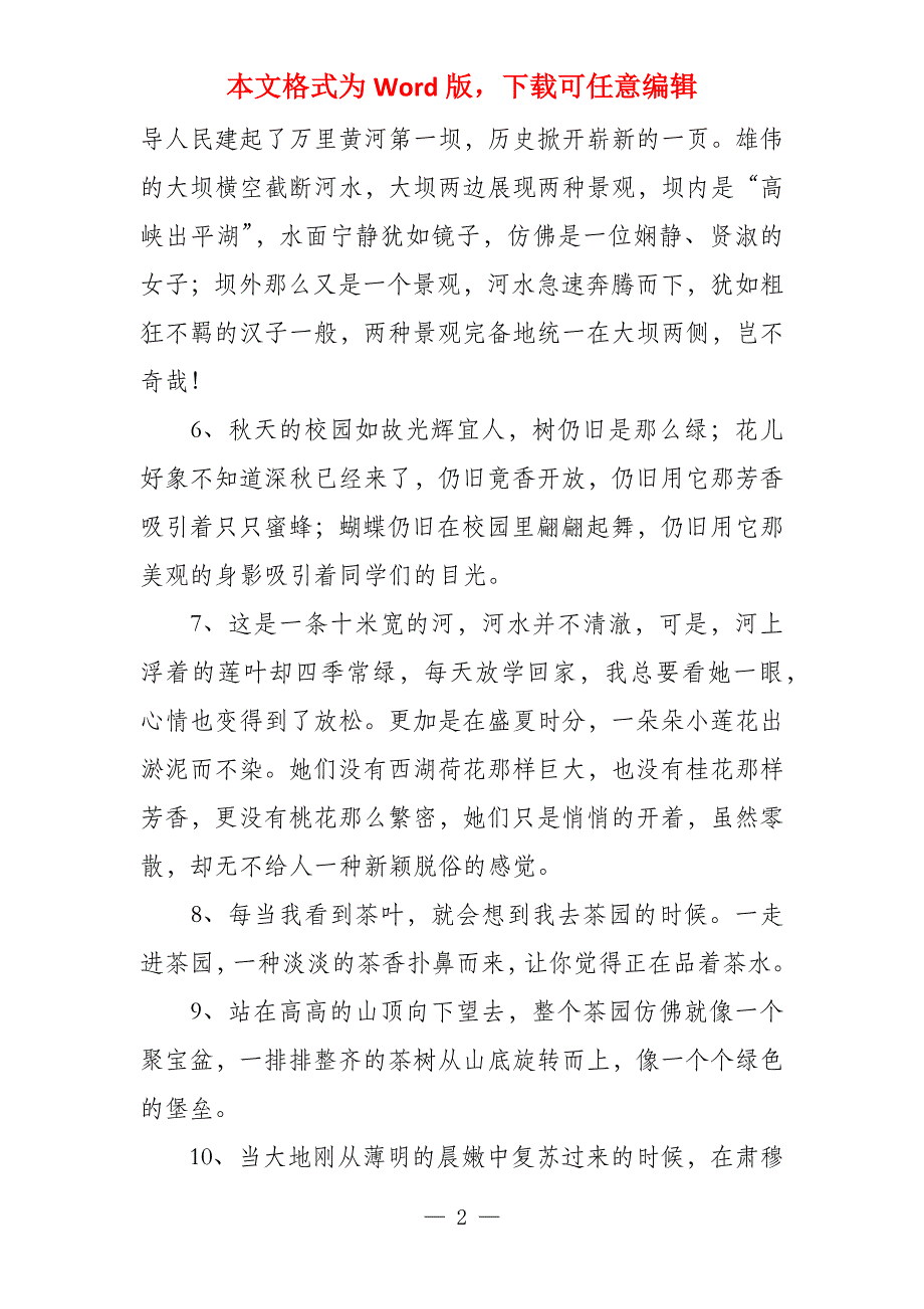 山茶树之恋_第2页