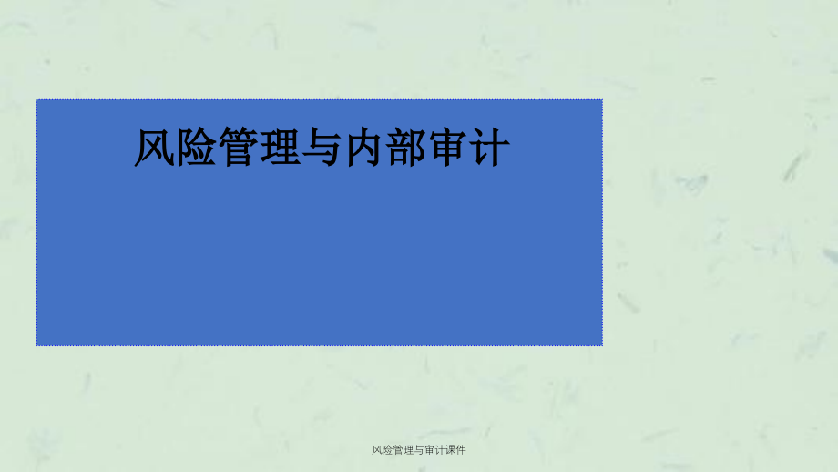 风险管理与审计课件_第1页