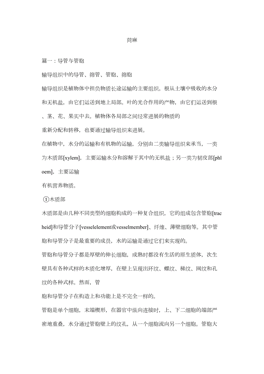 2022年苘麻_第1页