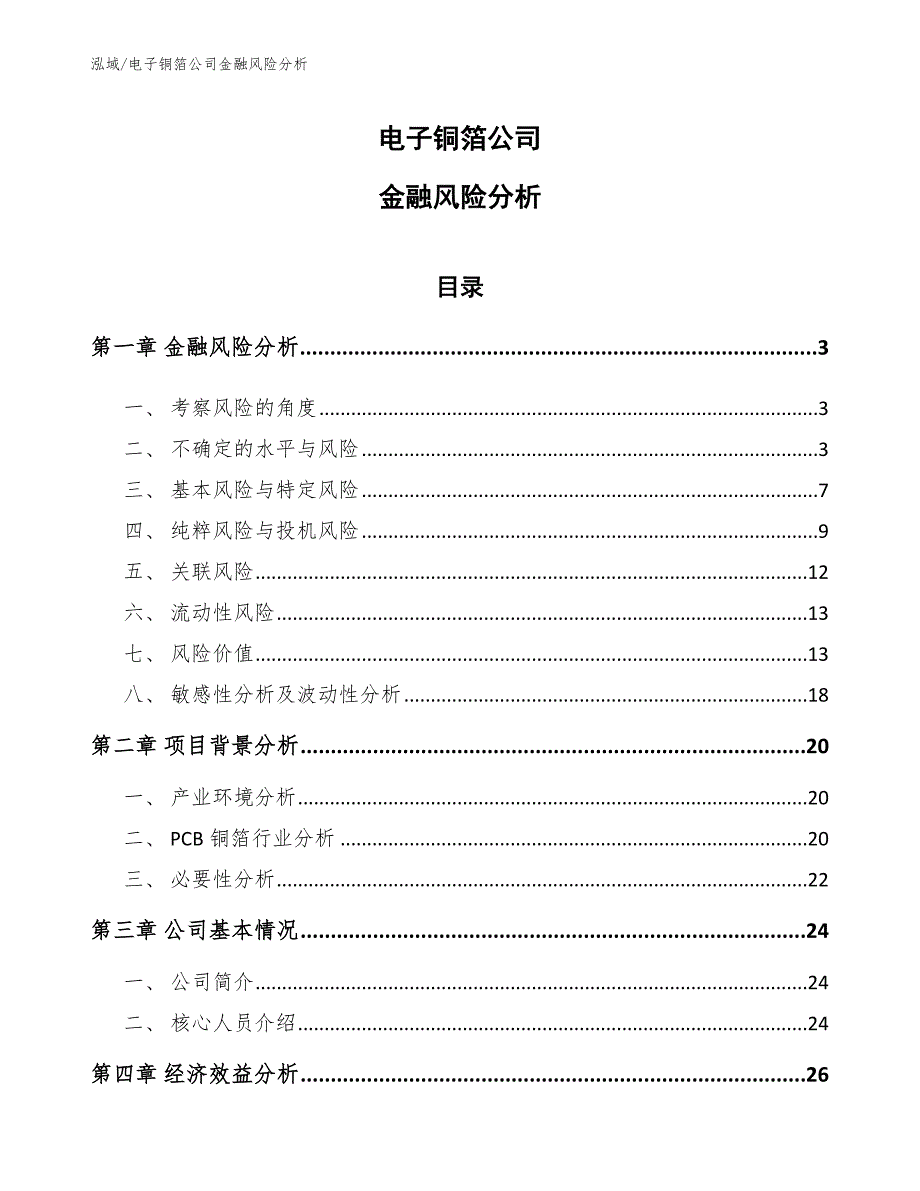 电子铜箔公司金融风险分析【范文】_第1页