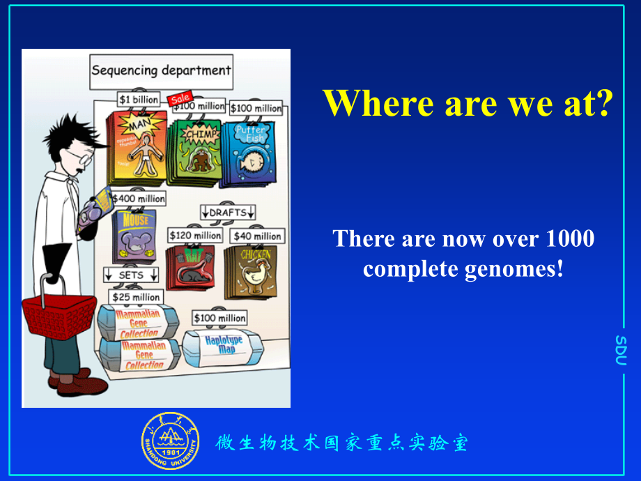 山东大学生物信息学课件02从结构到结构生物信息学_第4页