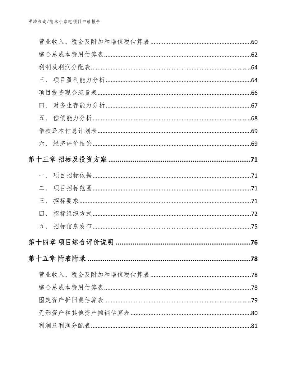 榆林小家电项目申请报告_第5页