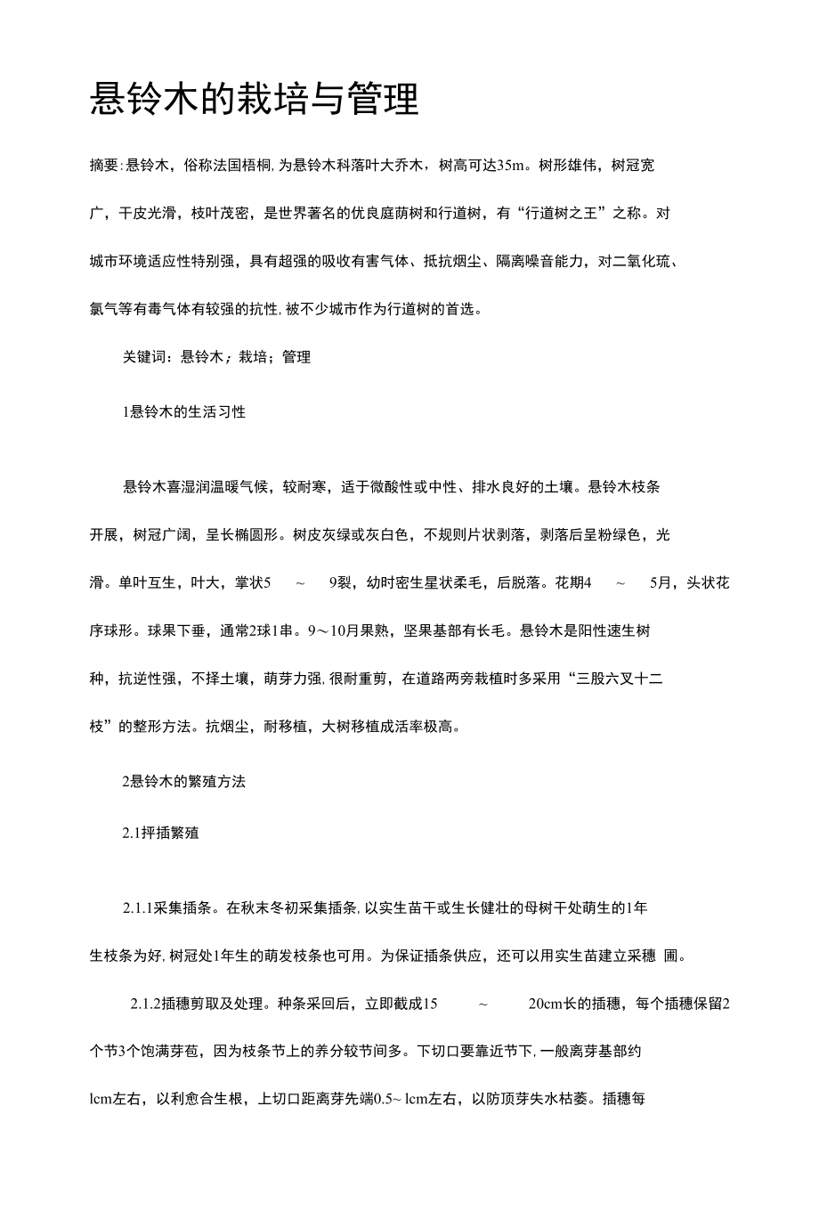 悬铃木的栽培与管理_第1页