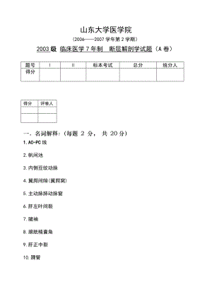 山东大学2006—2007学年第2学期断层解剖学试题（A卷）及答案