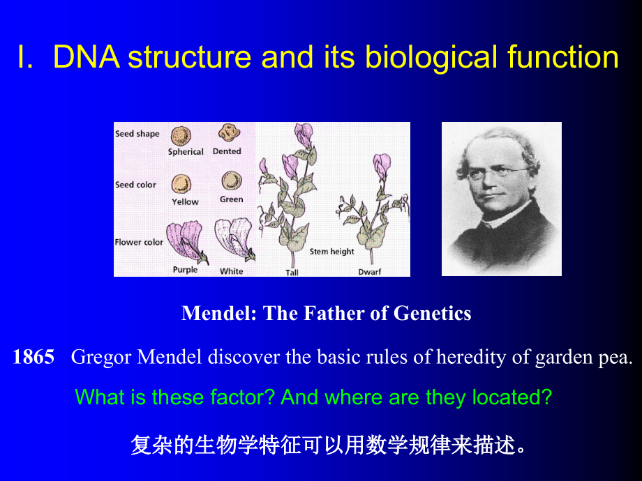 山东大学生物信息学课件01从遗传学到生物信息学_第3页