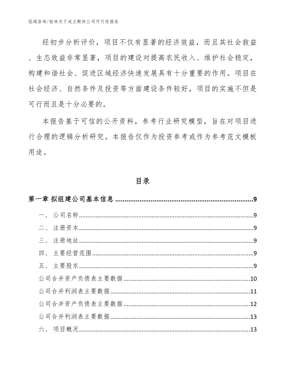 桂林关于成立靶材公司可行性报告（范文模板）_第3页