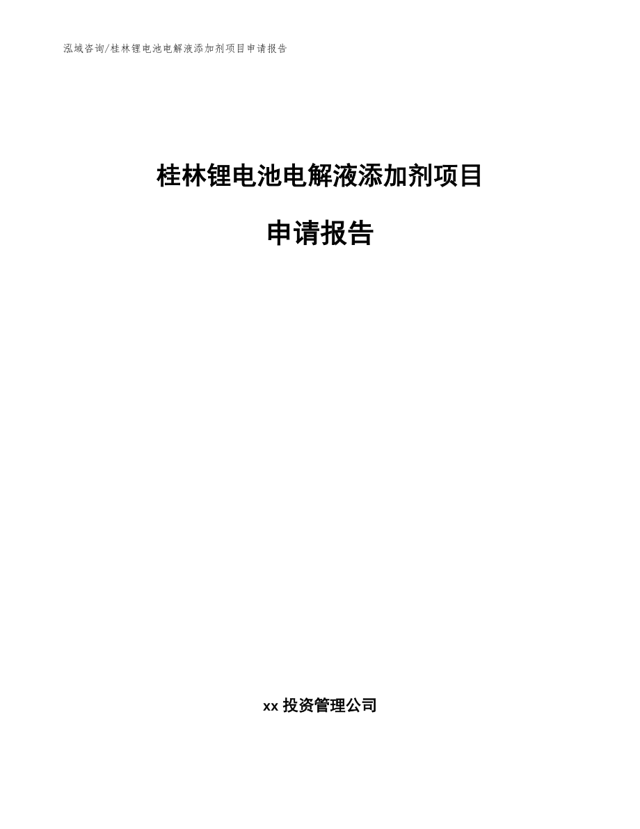 桂林锂电池电解液添加剂项目申请报告_第1页