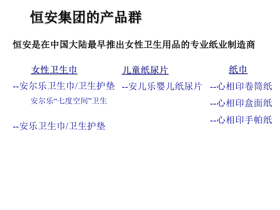 恒安产品规划演示方案稿_第4页