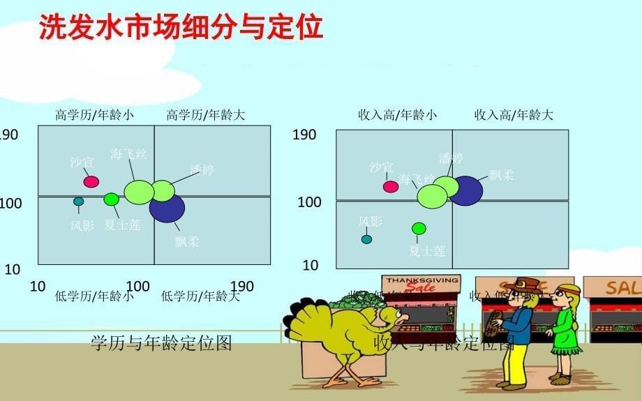 市场细分案例---宝洁公司_第5页