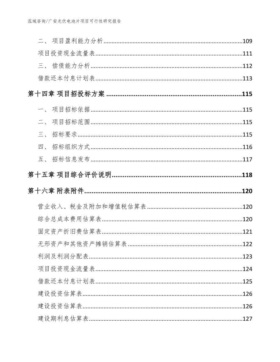 广安光伏电池片项目可行性研究报告_范文_第5页