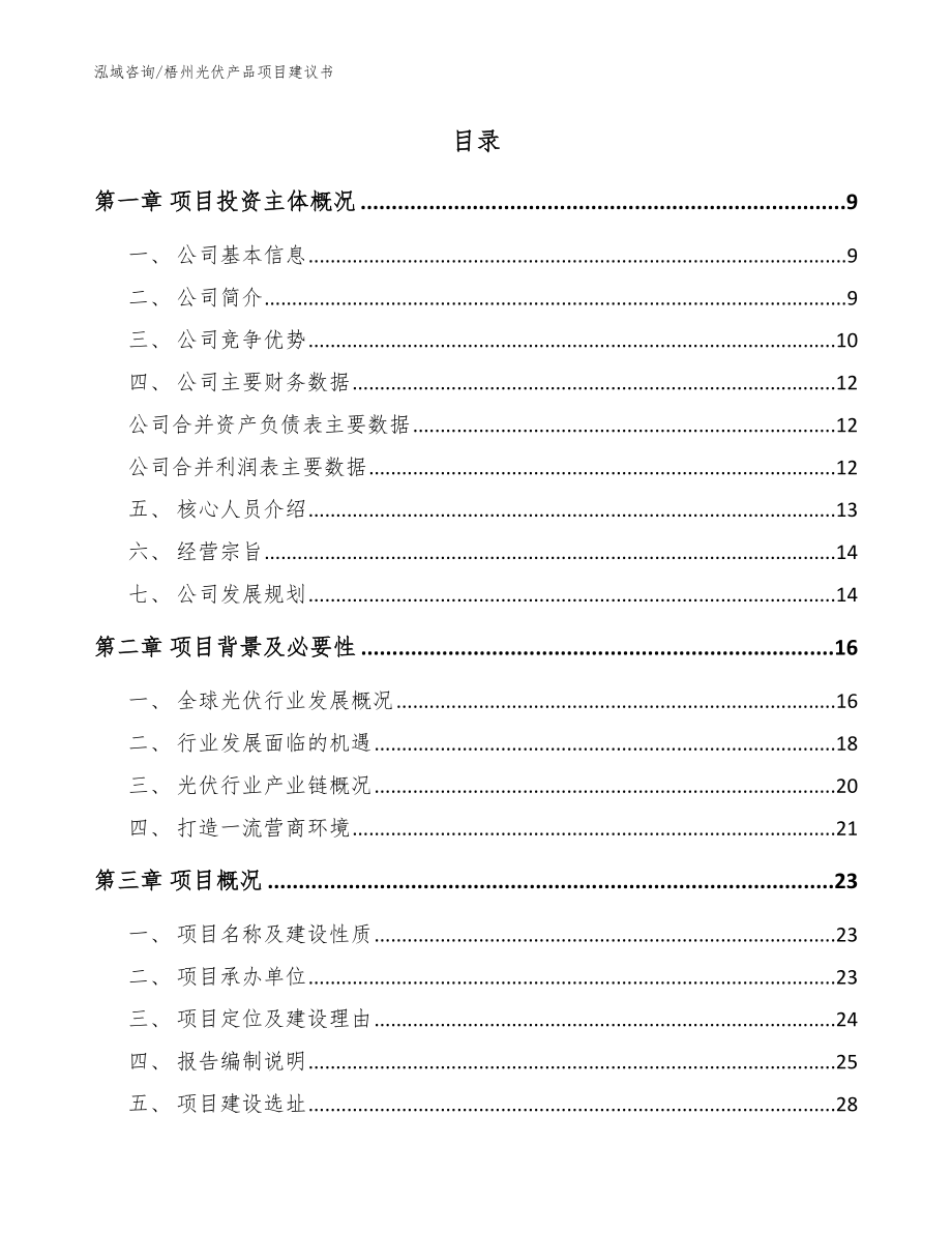 梧州光伏产品项目建议书【范文模板】_第2页