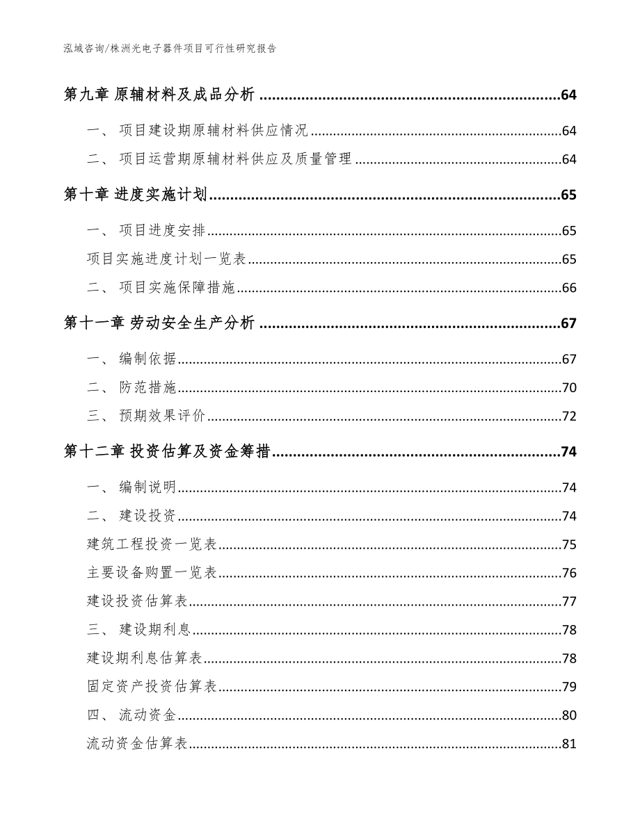 株洲光电子器件项目可行性研究报告_第3页