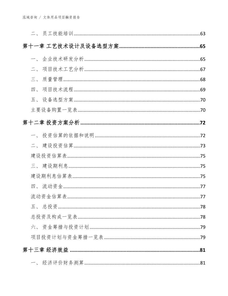 文体用品项目融资报告_范文_第5页