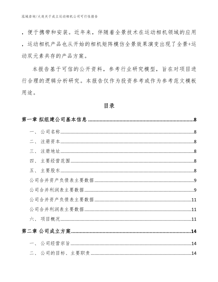 大连关于成立运动相机公司可行性报告（模板范本）_第3页