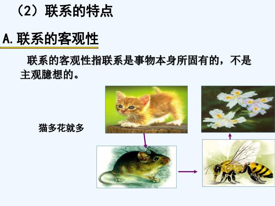 优选马克思主义原理辩证法讲稿[可修改版ppt]课件_第5页