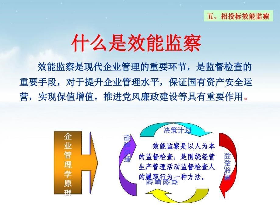 效能监察与招投标课件(powerpoint 42页)_第5页