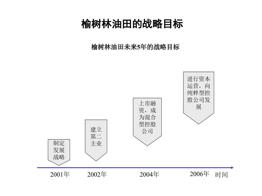 某公司战略规划报告(powerpoint 51页)_第5页