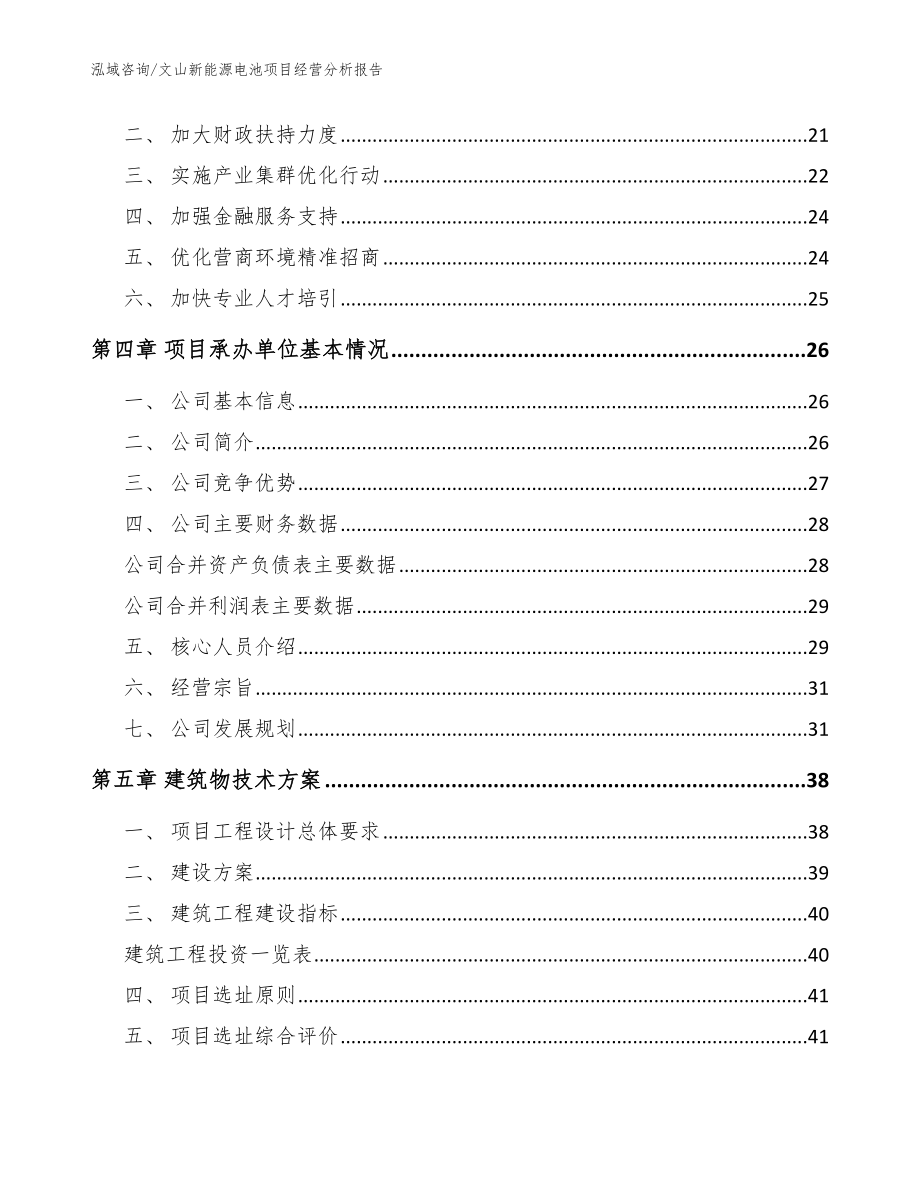 文山新能源电池项目经营分析报告_参考模板_第3页