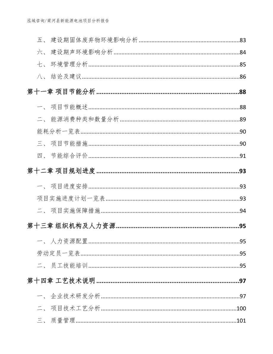 梁河县新能源电池项目分析报告_第4页