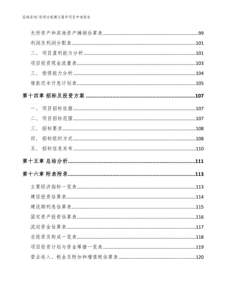 安顺功能膜元器件项目申请报告_第5页