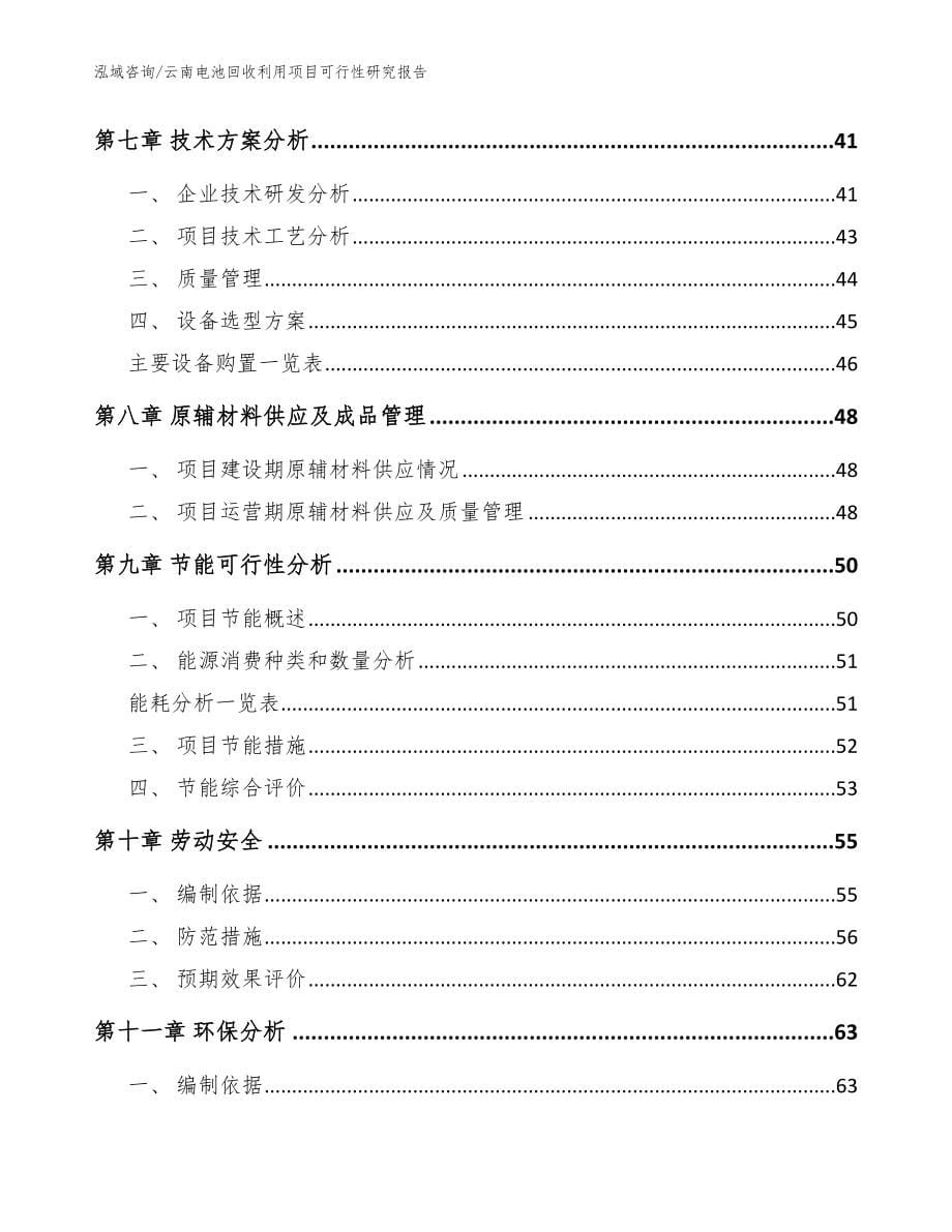 云南电池回收利用项目可行性研究报告_第5页