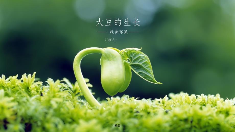大豆的生长及豆制品课件_第1页