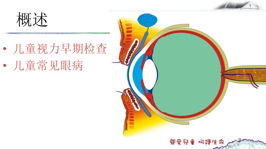 《儿童常见眼病》PPT课件_第2页