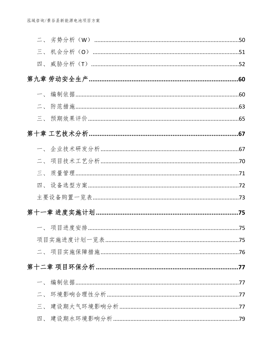 景谷县新能源电池项目【模板】_第4页