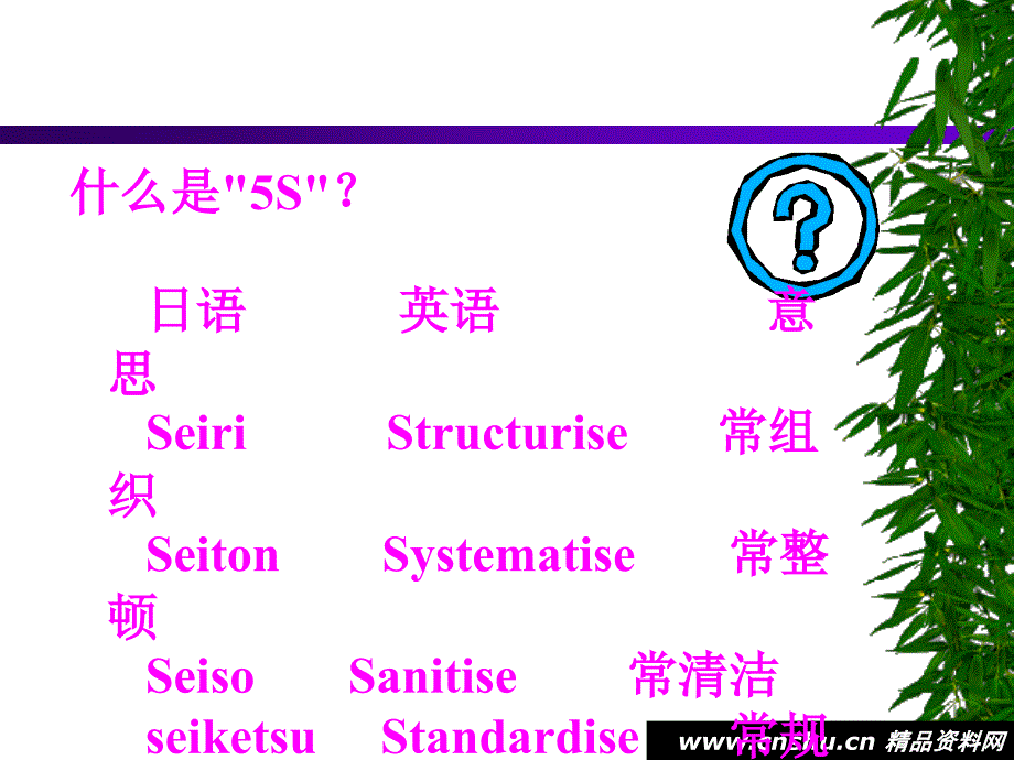 质量管理体系5S活动教程_第4页