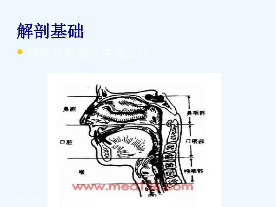 慢性扁桃体炎的中医外治法 (2)_第5页