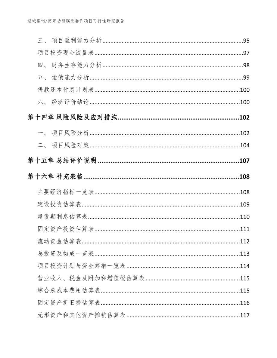 德阳功能膜元器件项目可行性研究报告_参考模板_第5页