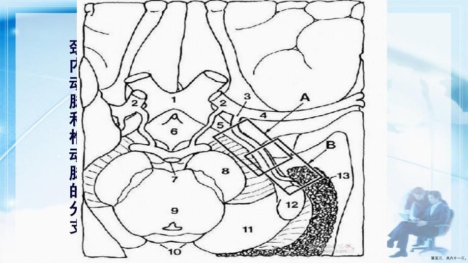 脑动脉解剖及临床脉络膜前动脉讲课文档_第5页