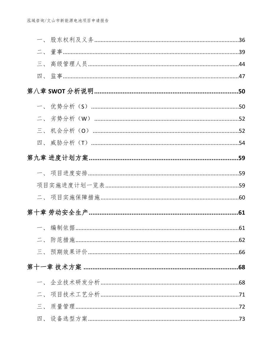 文山市新能源电池项目申请报告_第5页