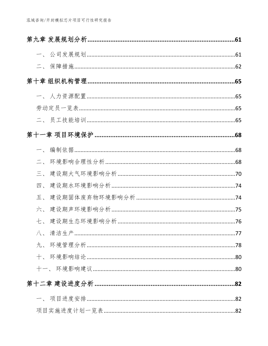 开封模拟芯片项目可行性研究报告（范文参考）_第3页