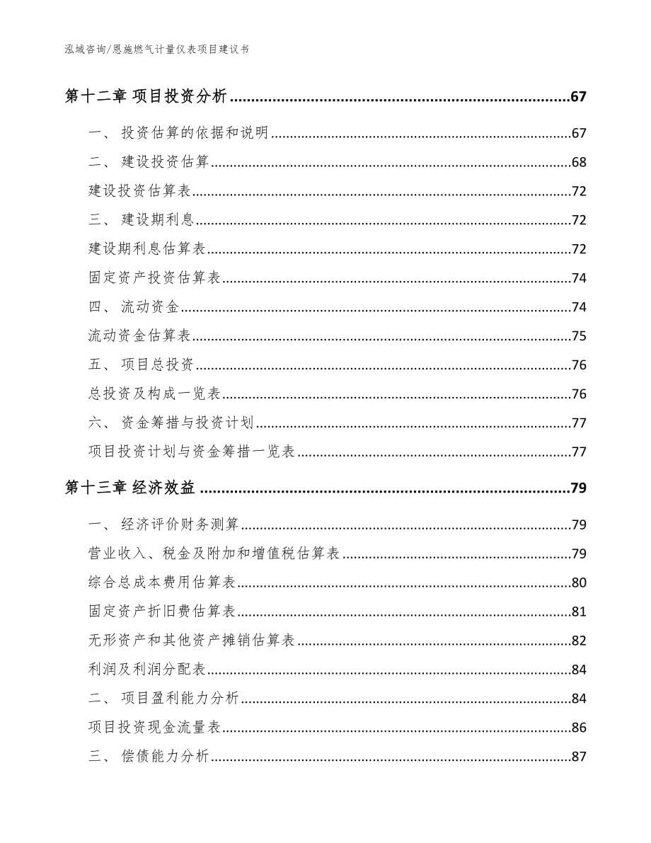 恩施燃气计量仪表项目建议书_参考模板_第5页