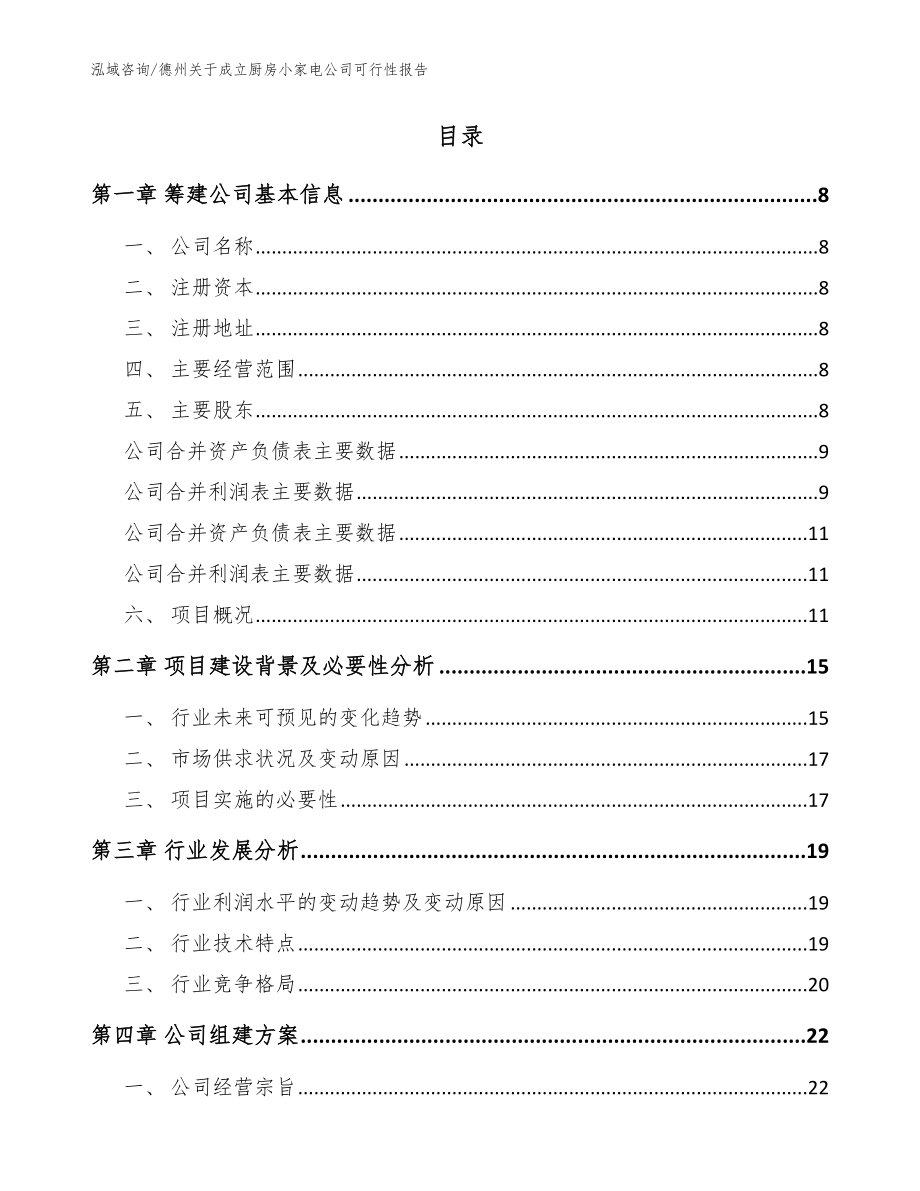 德州关于成立厨房小家电公司可行性报告_第2页