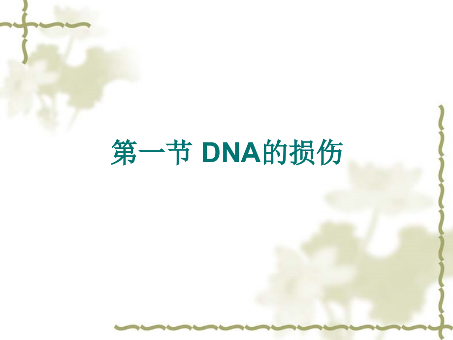 《DNA的损伤修复》PPT课件_第3页