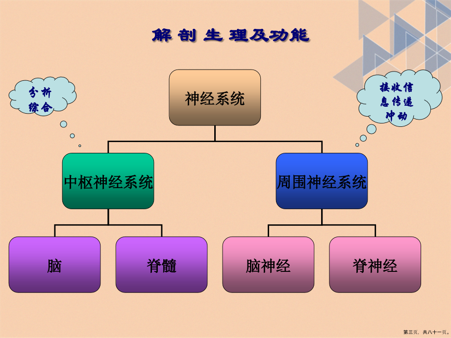 老神经系统疾病护理讲课文档_第3页